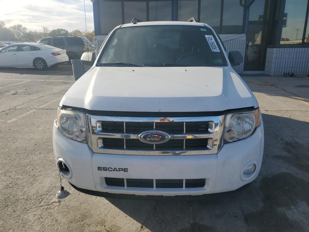 2009 FORD ESCAPE