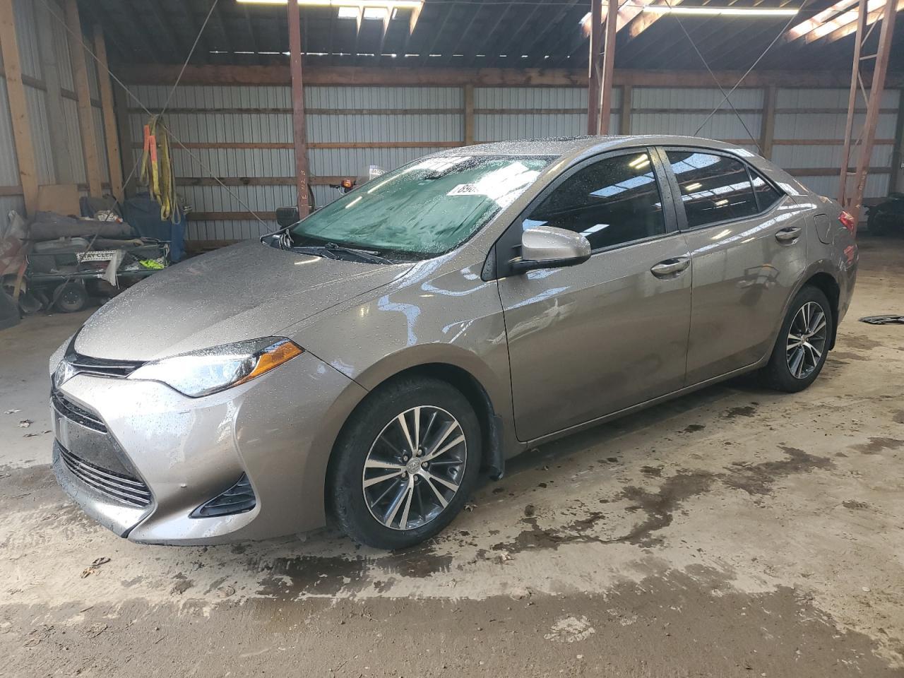 2019 TOYOTA COROLLA