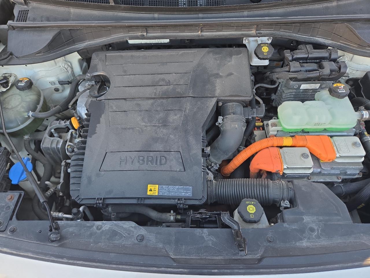 2019 KIA Niro