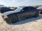 2013 DODGE CHARGER