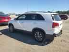 2011 KIA SORENTO