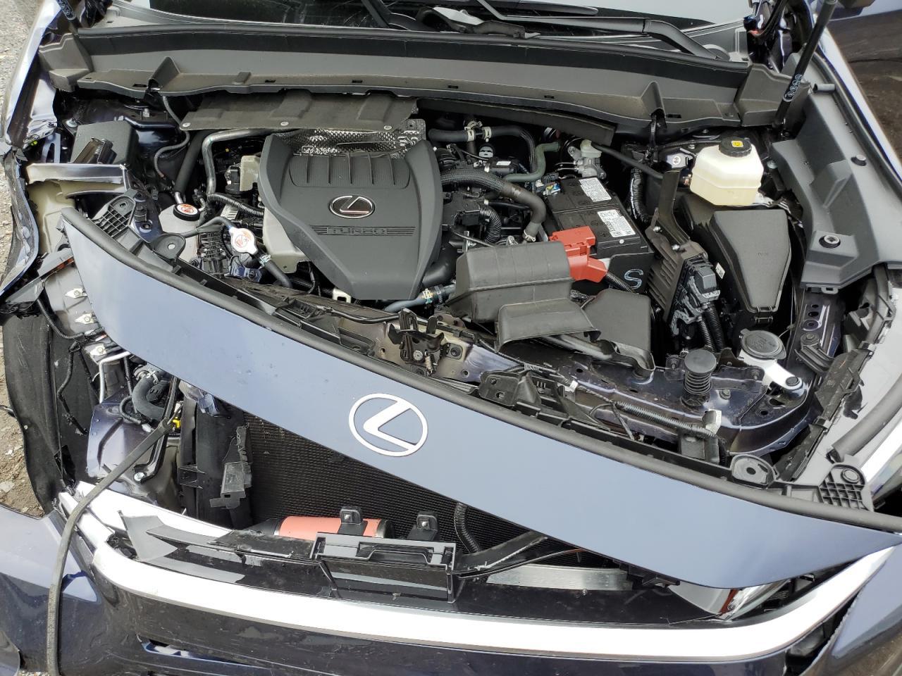 2025 LEXUS Tx