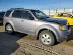 2008 MAZDA Tribute