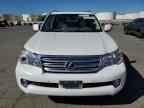 2013 LEXUS GX 460