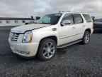 2007 CADILLAC ESCALADE