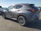 2025 LEXUS NX 250
