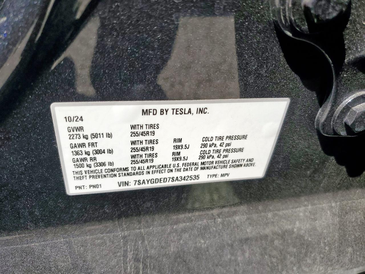 2025 TESLA MODEL Y