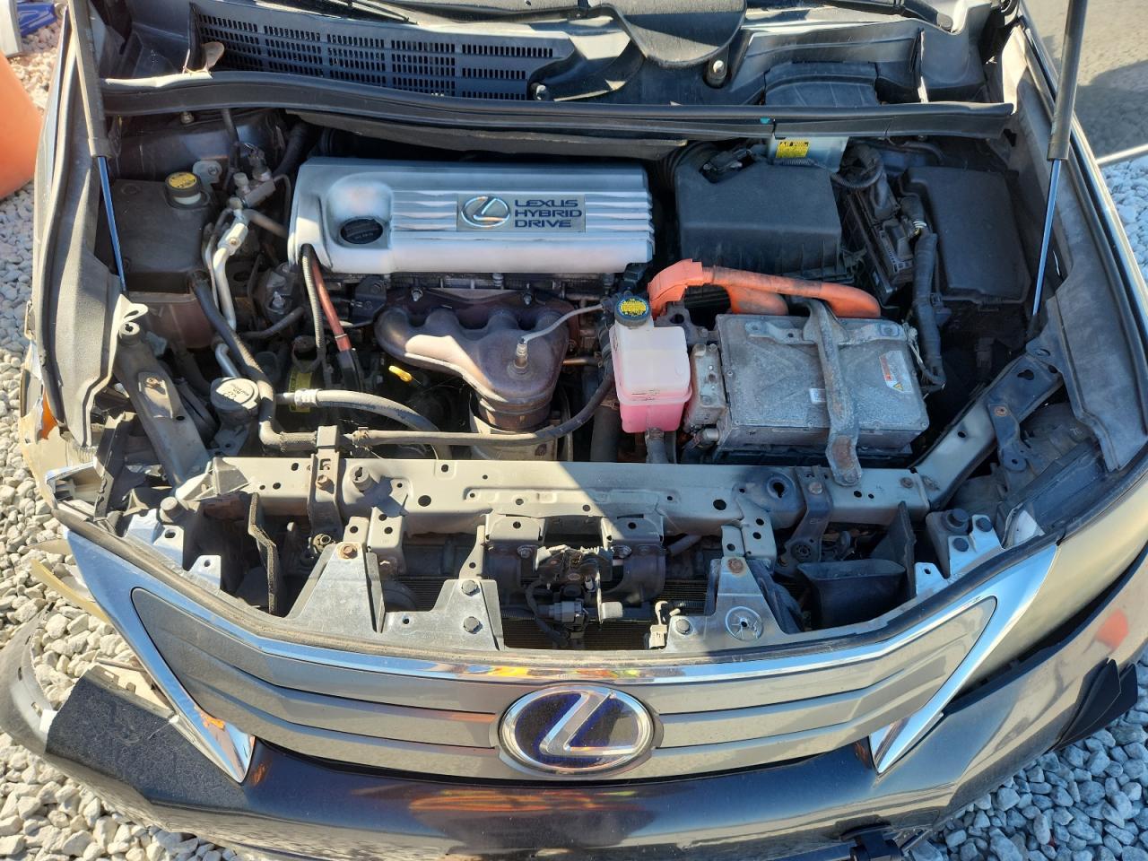 2010 LEXUS HS 250h