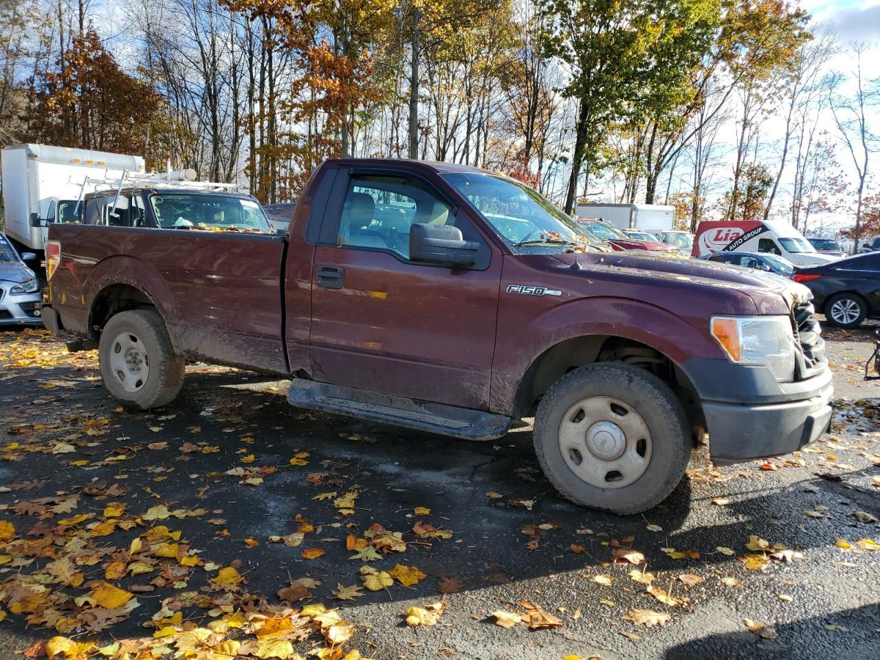 2009 FORD F-150