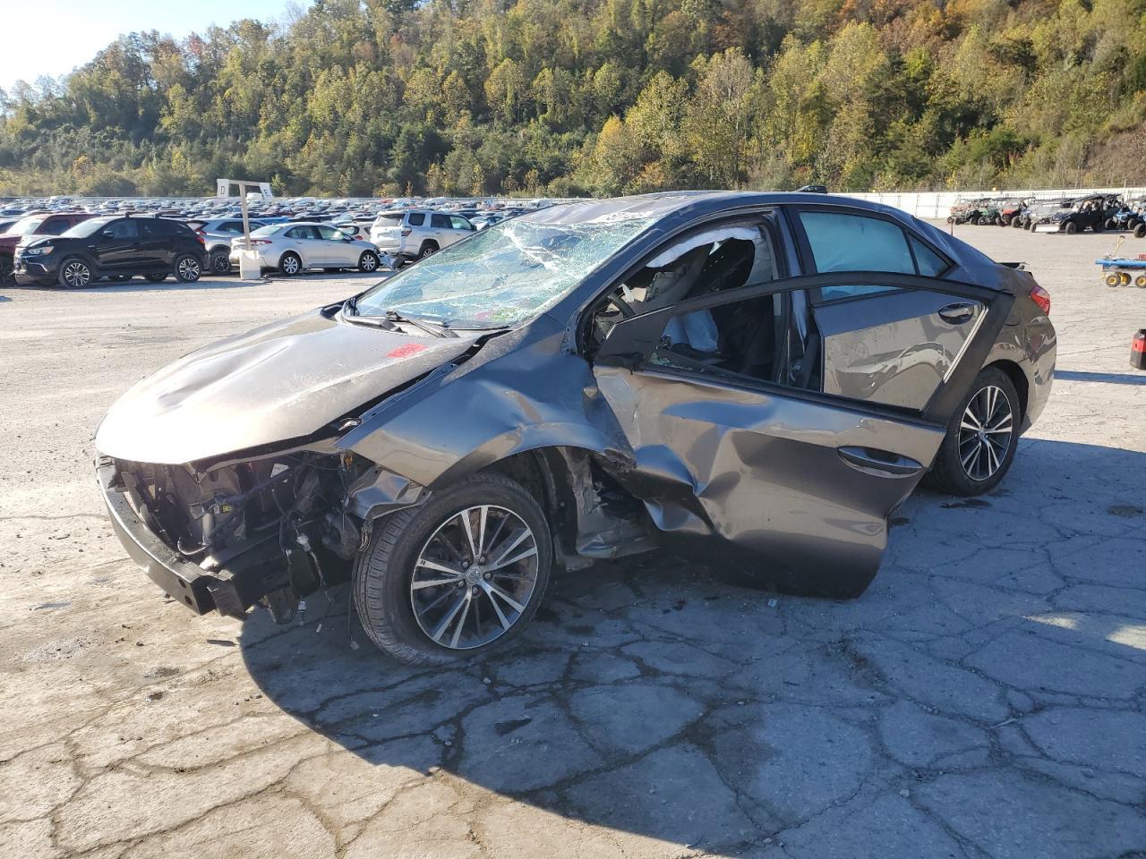 2019 TOYOTA COROLLA