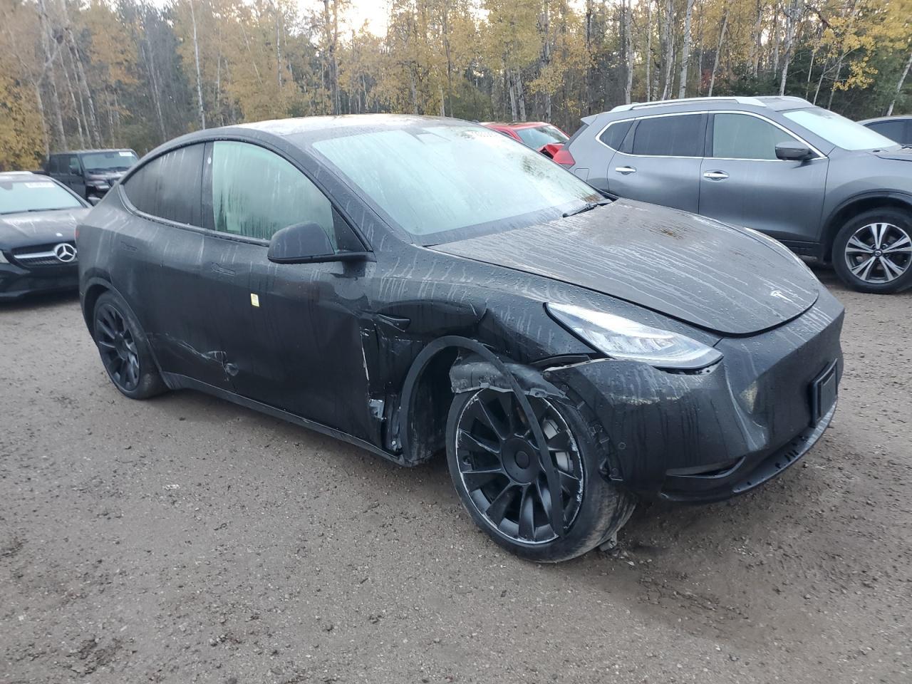 2021 TESLA MODEL Y
