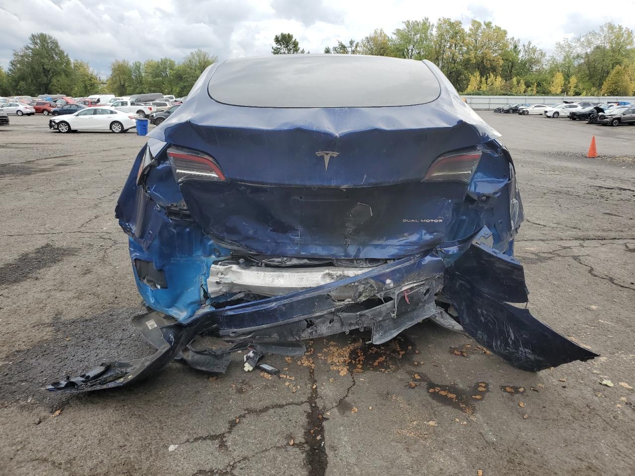 2024 TESLA MODEL Y
