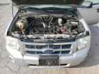 2009 FORD ESCAPE
