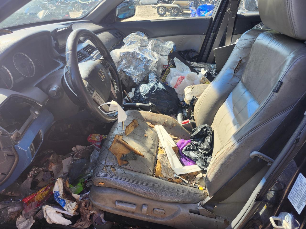 2010 HONDA ACCORD