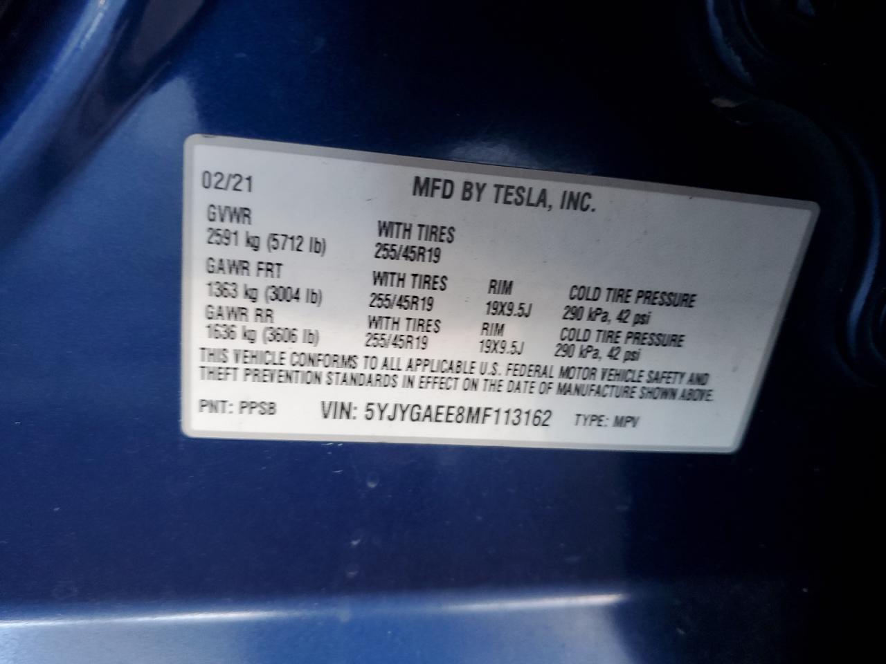 2021 TESLA MODEL Y