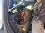 2000 HONDA Insight