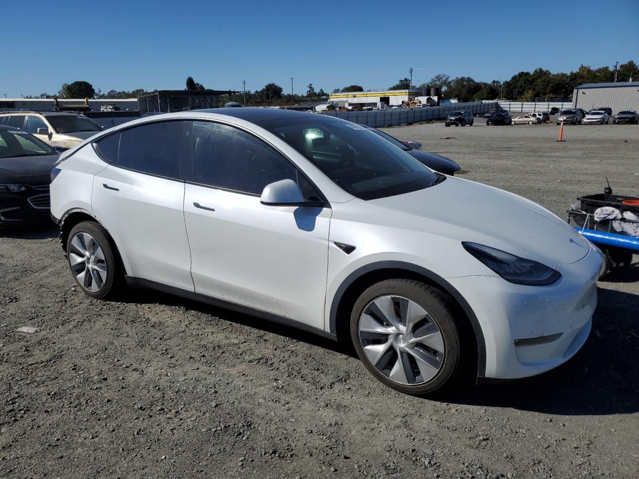 2021 TESLA MODEL Y