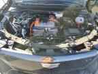 2025 CADILLAC OPTIQ
