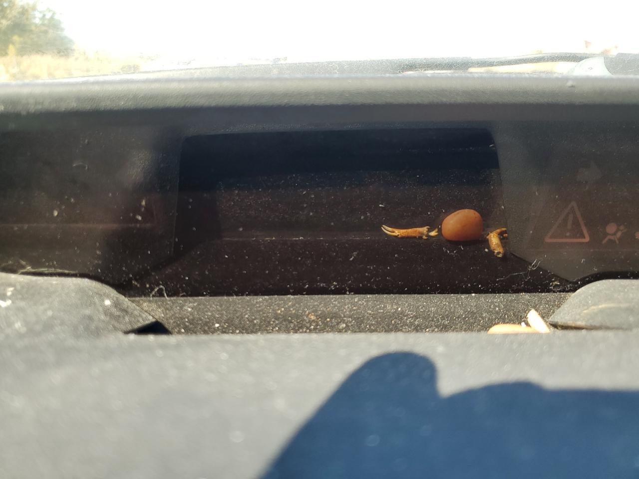 2004 TOYOTA PRIUS