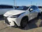 2024 LEXUS Nx