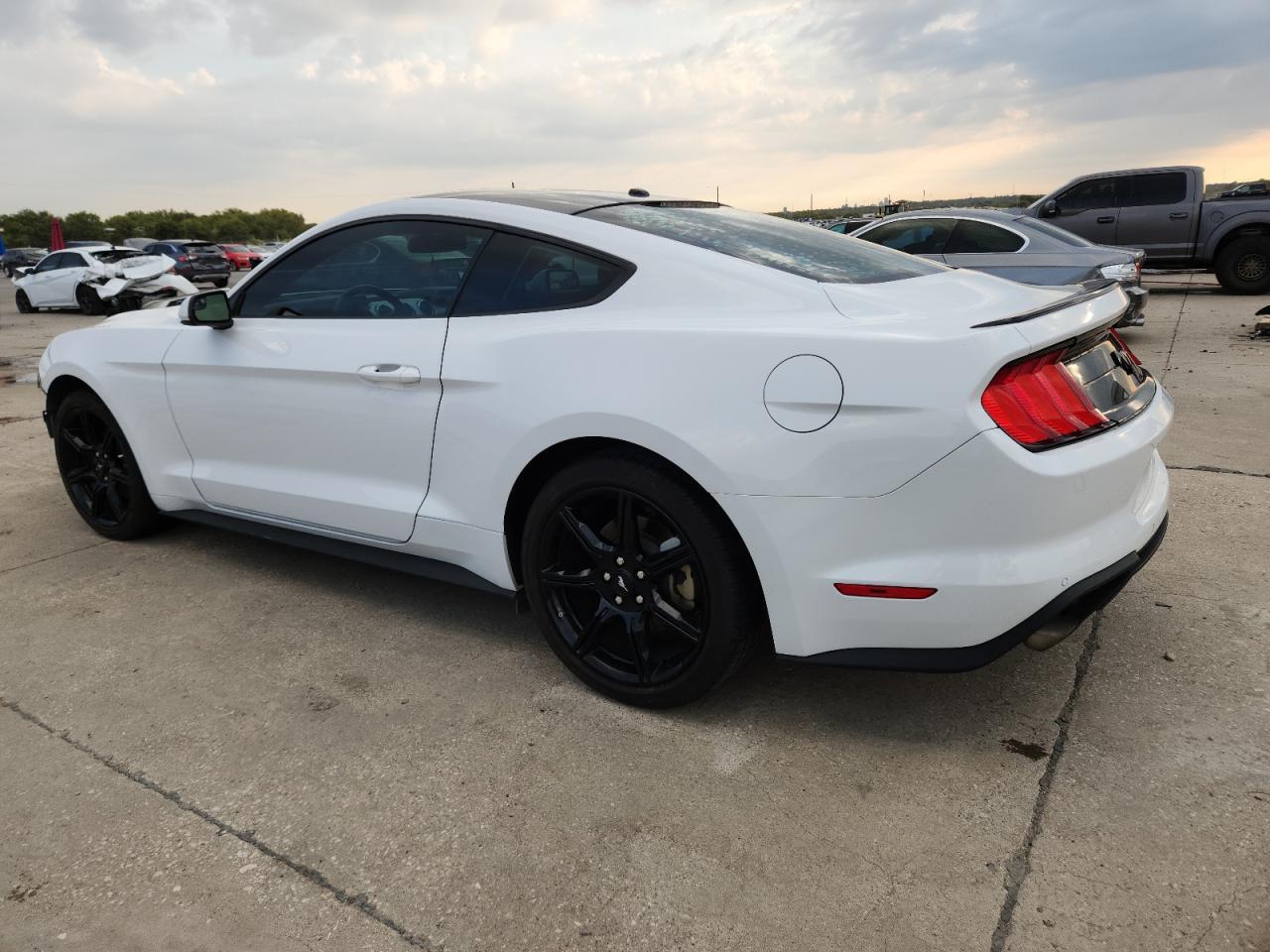 2019 FORD MUSTANG