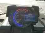 2024 MASSIMO Trailboss 760