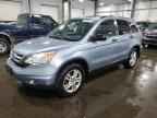 2010 HONDA CR-V