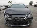 2024 LEXUS Es
