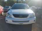 2006 LEXUS Rx
