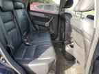 2009 HONDA CR-V