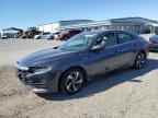 2022 HONDA Insight