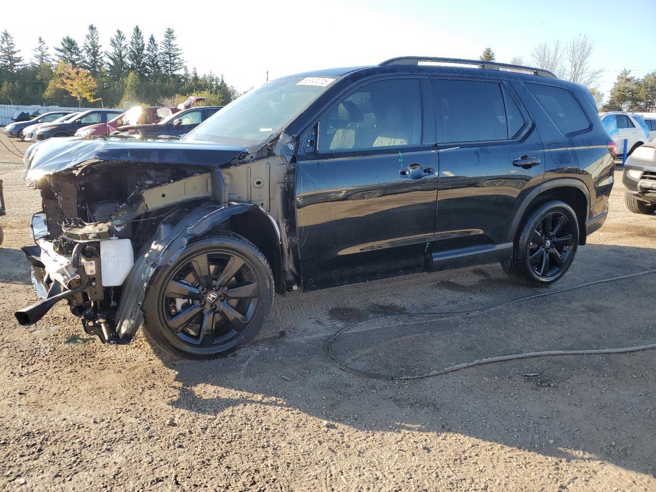 2025 HONDA PILOT