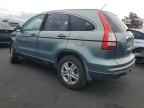 2010 HONDA CR-V