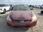 2004 HONDA ACCORD