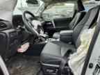 2024 TOYOTA 4Runner