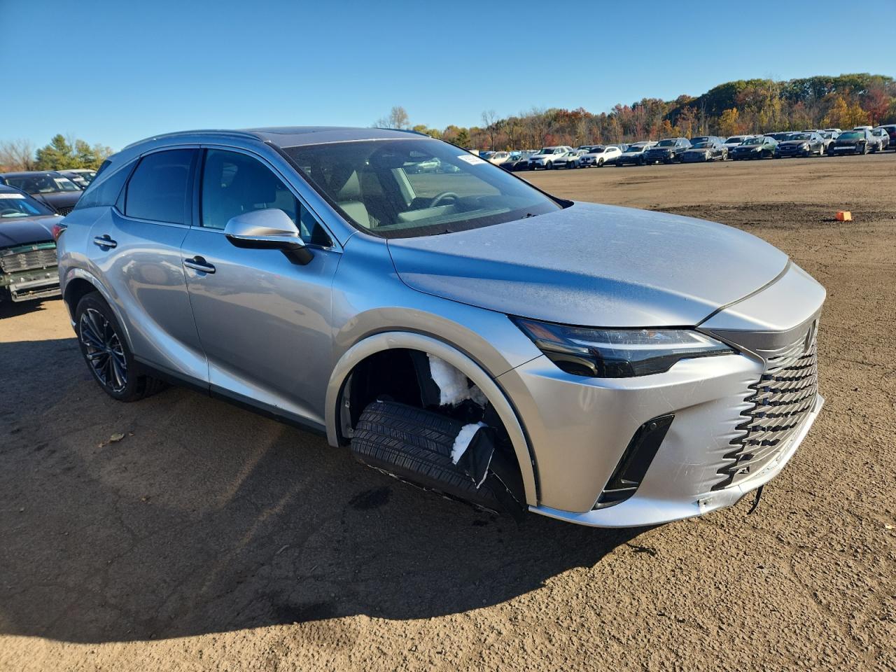 2025 LEXUS Rx