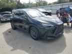 2026 LEXUS Nx