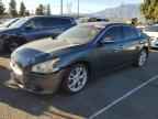 2011 NISSAN Maxima