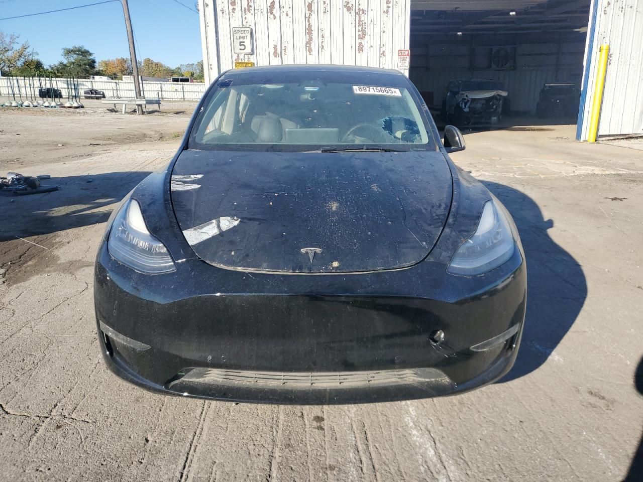 2021 TESLA MODEL Y