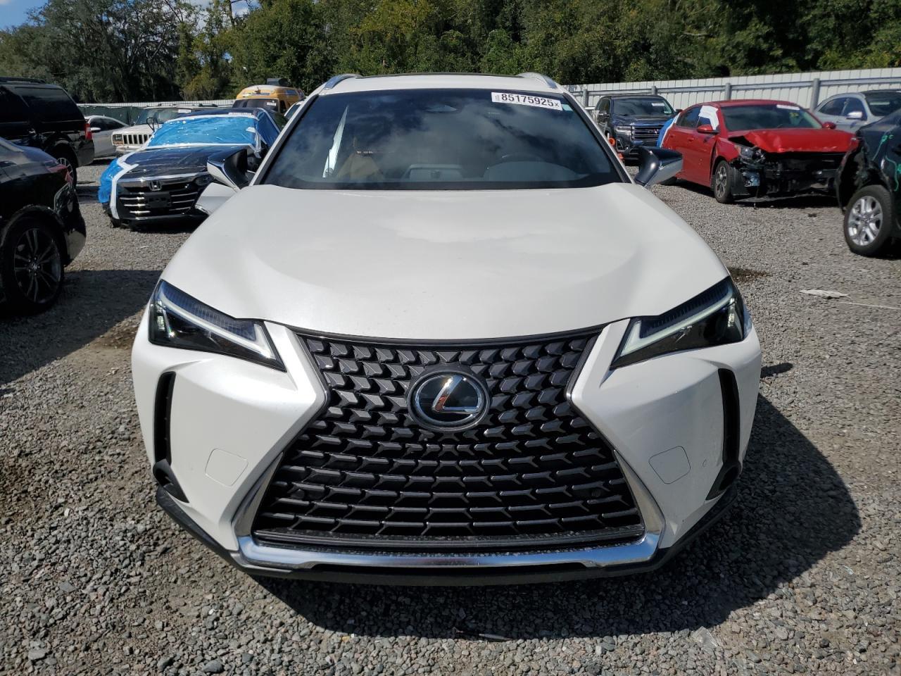 2025 LEXUS Ux
