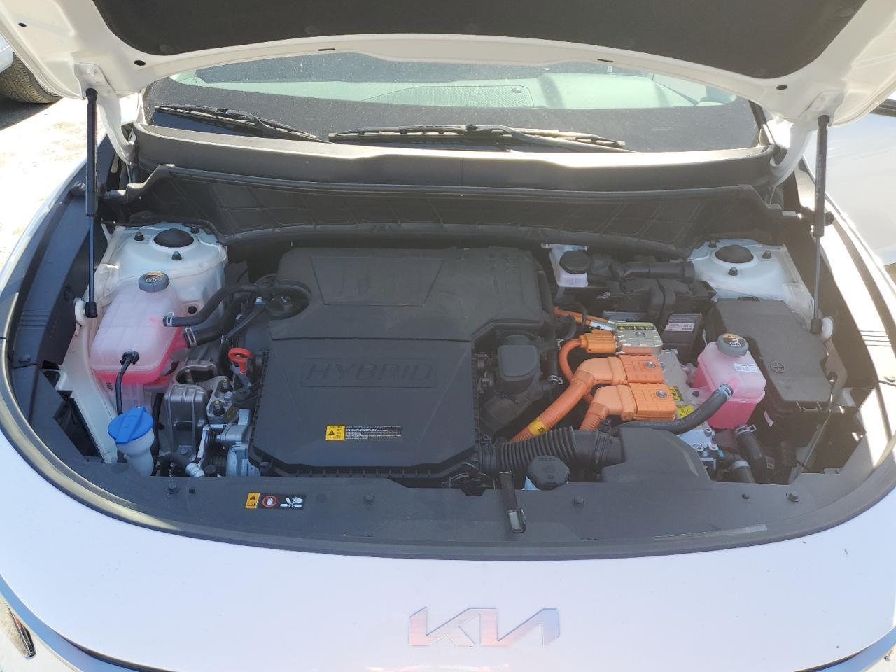 2025 KIA Niro