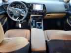 2025 LEXUS Nx