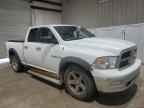 2010 DODGE RAM 1500