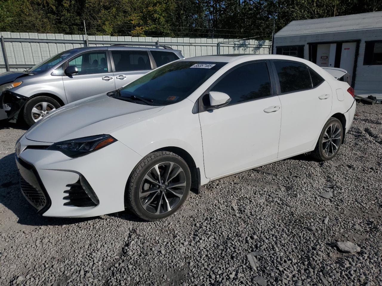 2019 TOYOTA COROLLA
