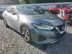 2019 NISSAN Maxima