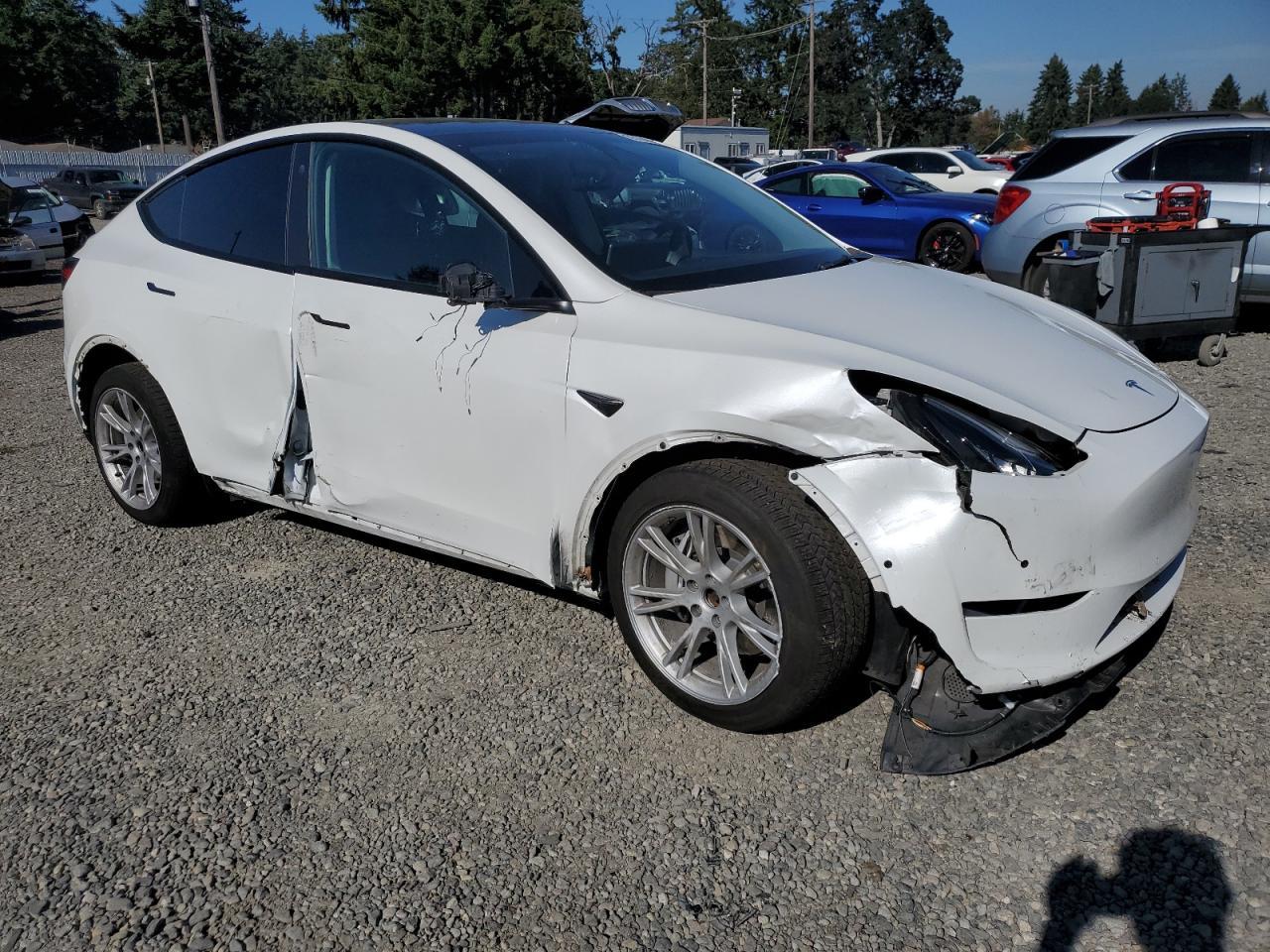 2021 TESLA MODEL Y