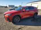 2024 LEXUS NX 350