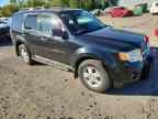 2010 FORD ESCAPE