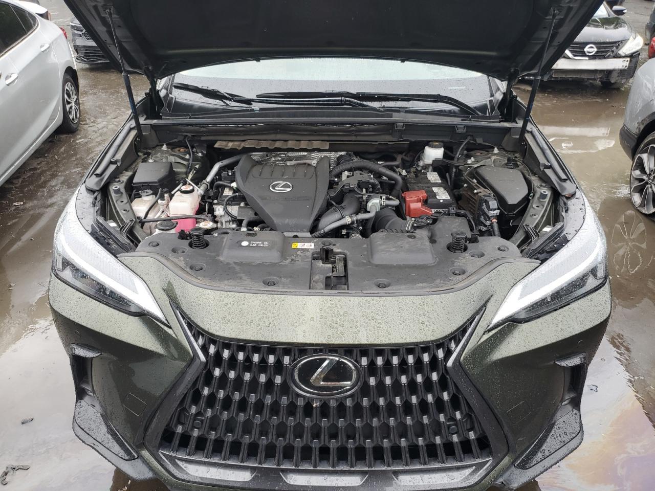 2024 LEXUS Nx