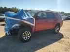2023 TOYOTA 4Runner